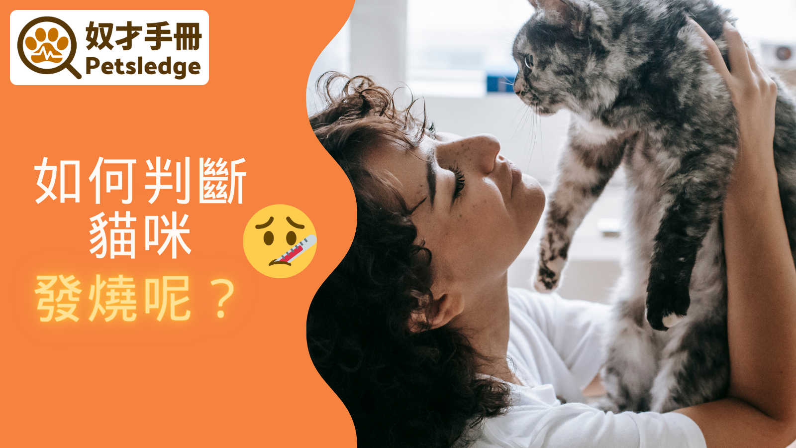 如何判斷貓咪發燒呢？