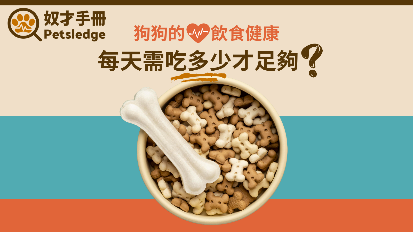 狗狗的飲食健康，每天需吃多少才足夠？